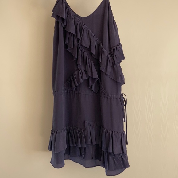 Silk Ruffle Dress - Picture 10 of 12